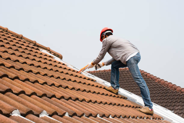 Best Roof Insulation Installation  in Arden Arde, CA